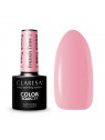 CLARESA FRENCH TIME COLLECTION