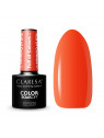 CLARESA FULL OF COLOURS COLLECTION