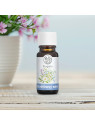 PŘÍRODNĚ IDENTICKÁ SILICE 10 ML