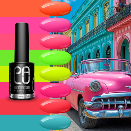 PALU HAVANA KOLEKCE – 11 g